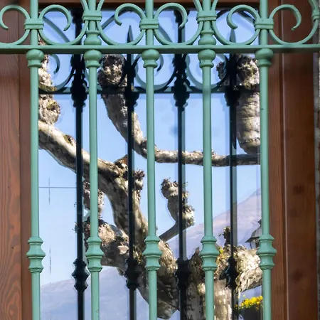 Serra Novecento Garden & Bellano