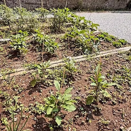 Serra Novecento Garden &